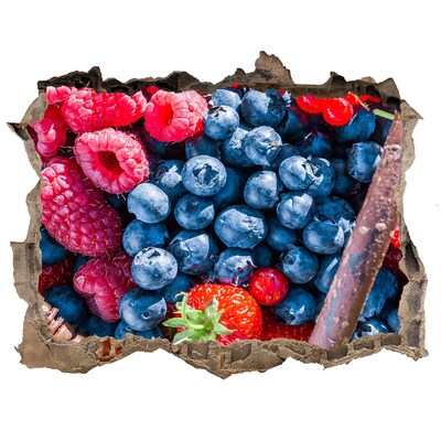 Hole in the wall decal Fruity Hole in the Wall