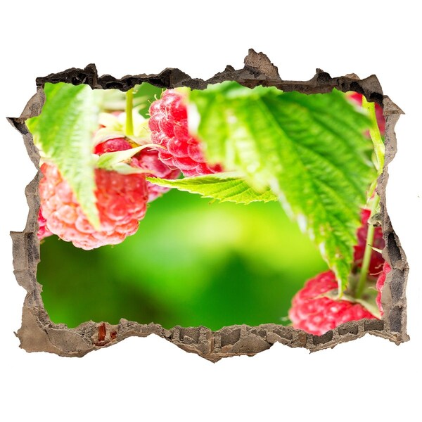 Hole in the wall decal Raspberries in the garden