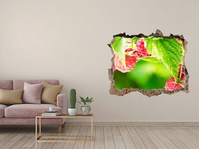 Hole in the wall decal Raspberries in the garden