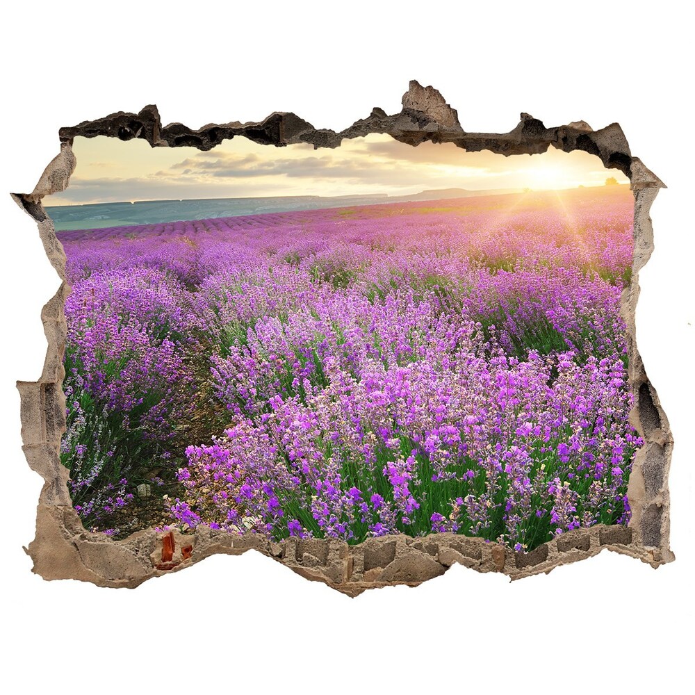 Hole wall sticker Lavender field