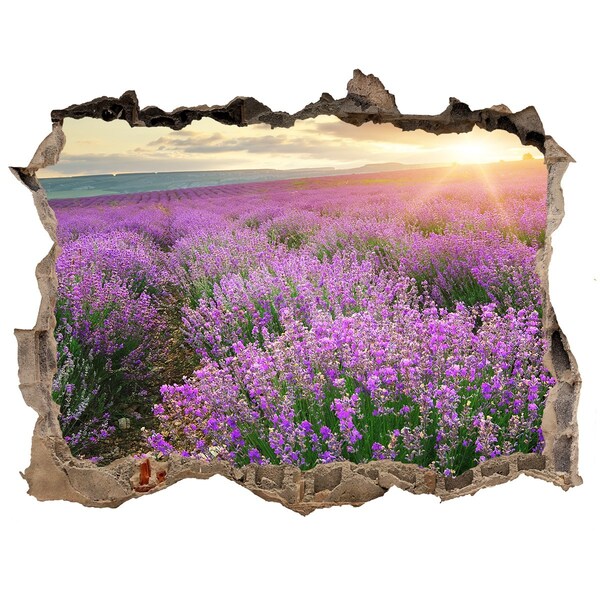 Hole wall sticker Lavender field at sunrise