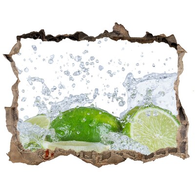 3D wall hole Lime and water