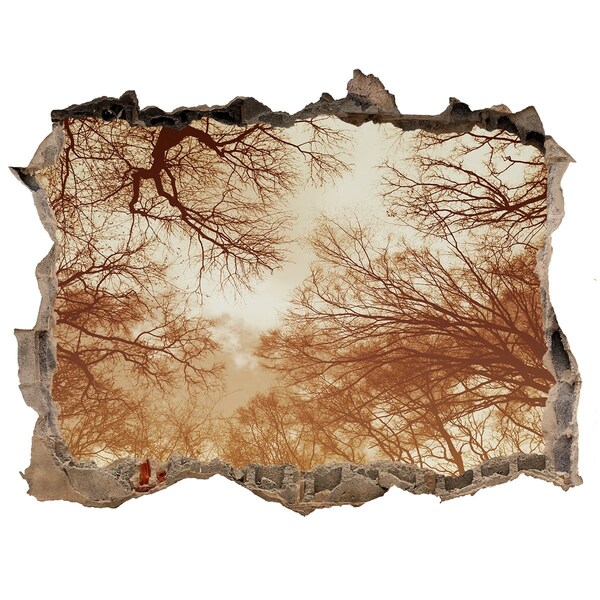 3D wall hole wallpaper Reflection of trees in a ruined wall