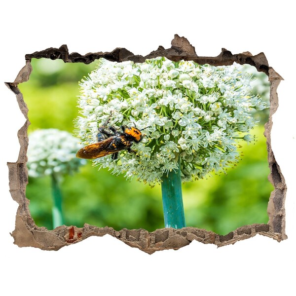 3D wall hole Flowering garlic