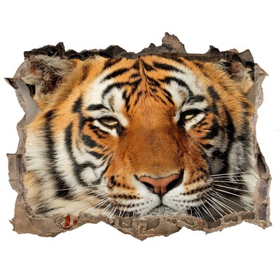 Hole in the wall decal Bengal tiger