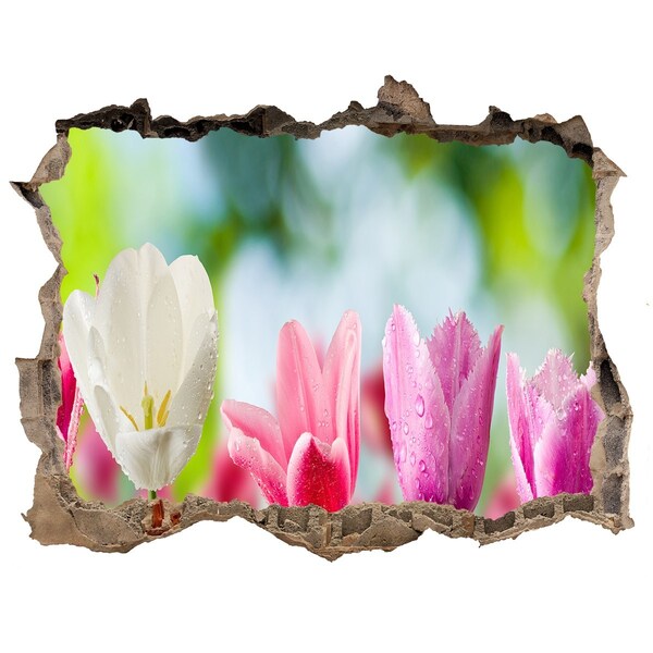 Hole wall sticker Tulips