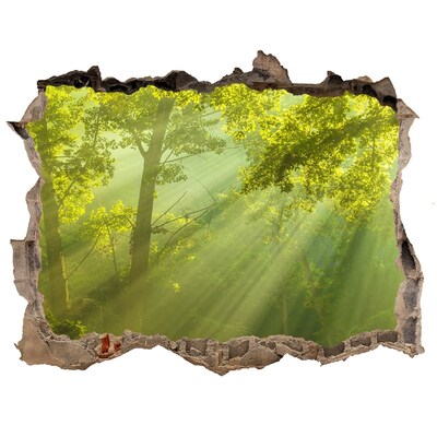Hole in the wall decal Green forest with sun rays