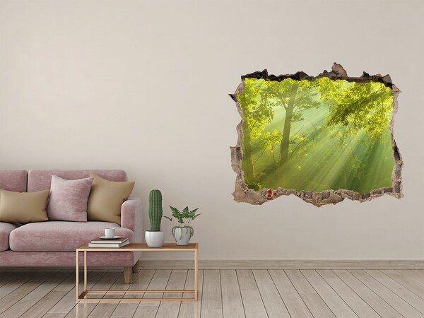 Hole in the wall decal Green forest with sun rays