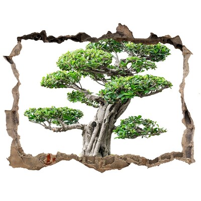 Hole in the wall sticker Bonsai in a hole in the wall