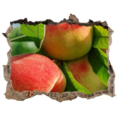 Hole in the wall sticker Apple orchard