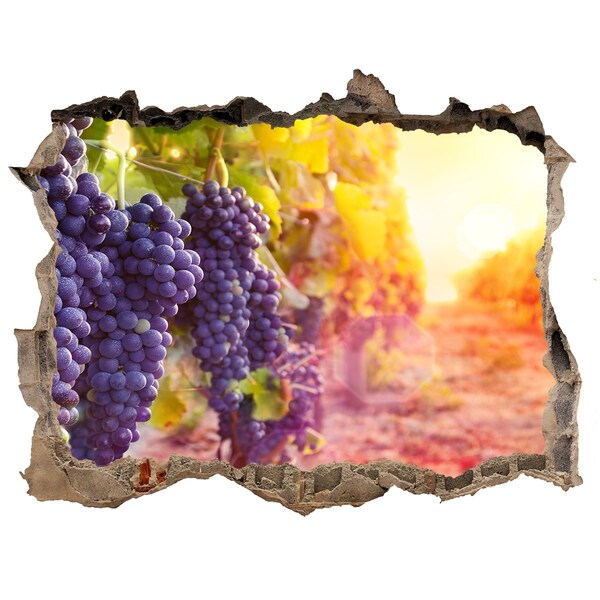 Hole in the wall decal Grape paradise in the morning