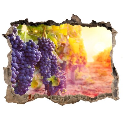 Hole in the wall decal Grape paradise in the morning