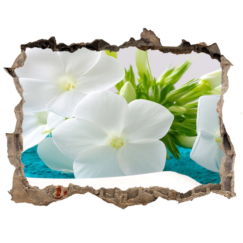 Hole in the wall decal White spa flowers