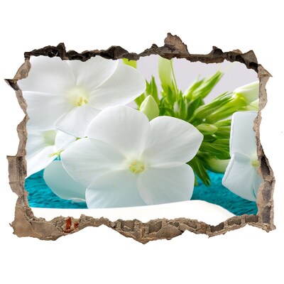 Hole in the wall decal A flower paradise behind the wall