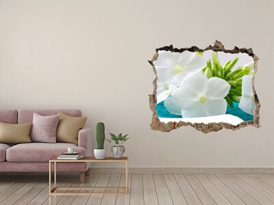 Hole in the wall decal A flower paradise behind the wall