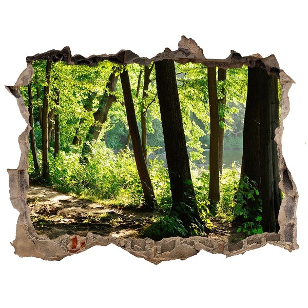 Hole in the wall sticker Green forest by the river