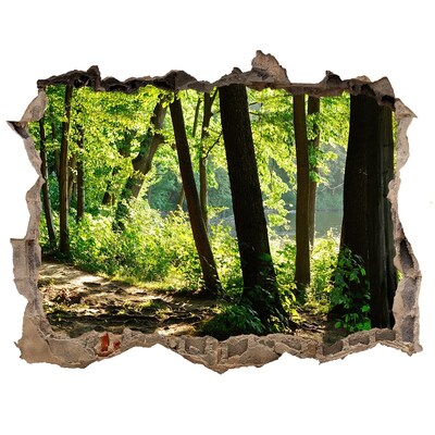 Hole in the wall sticker Green forest by the river