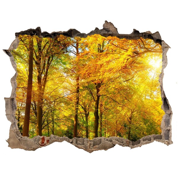 3D wall hole Forest in autumn