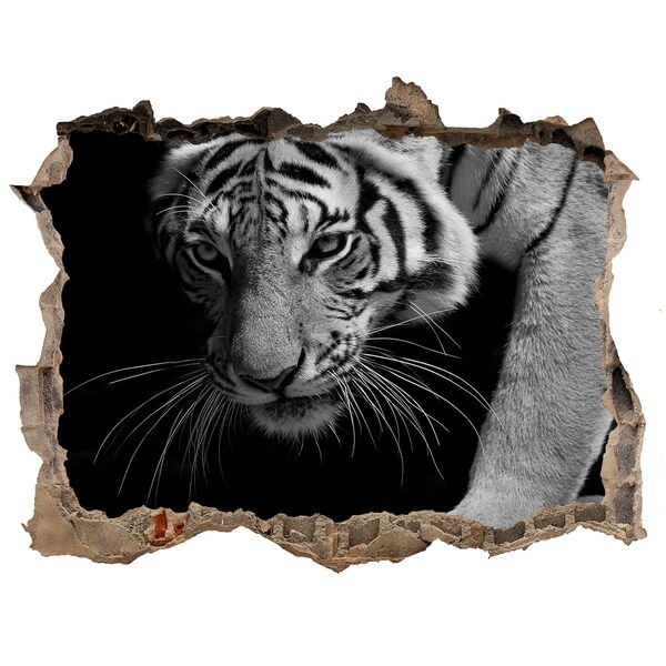 Hole wall sticker Tiger in a Hole in the Wall