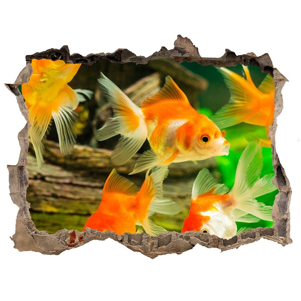 3D wall hole Golden Fish