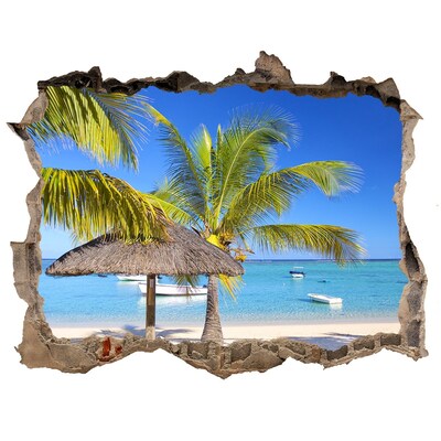 3D wall hole Tropical beach with palm trees