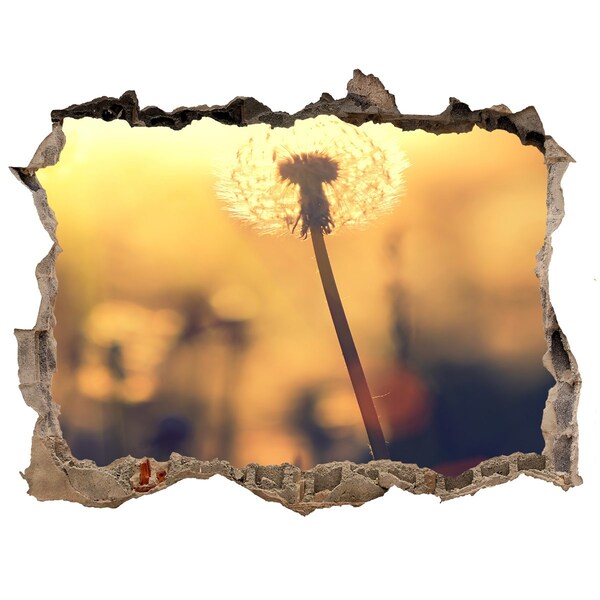 3D wall hole wallpaper Dandelion flower in the sun's rays