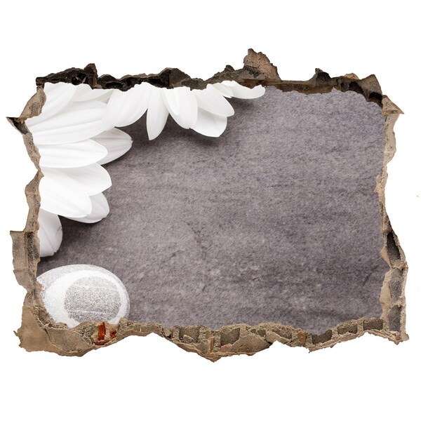 Hole in the wall decal A floral dream in concrete