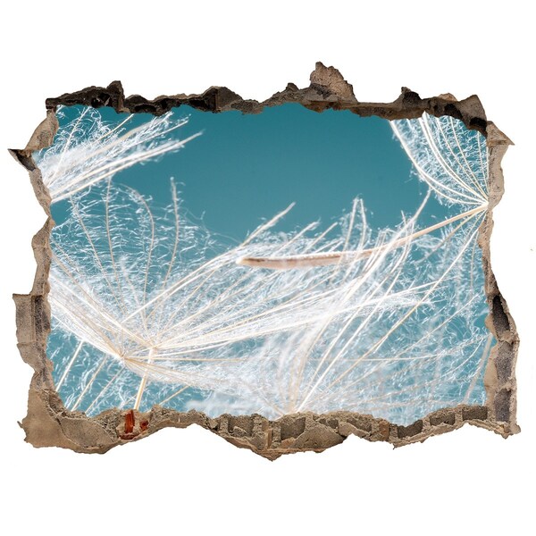 Hole in the wall sticker Flower dreams behind the wall