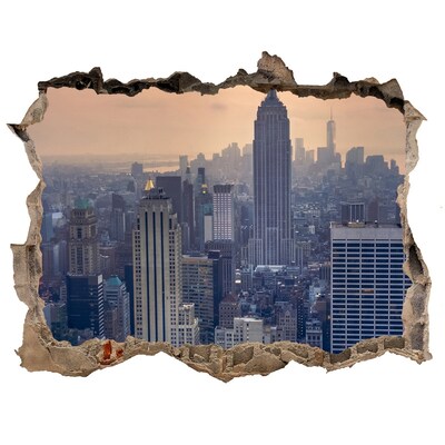 Hole in the wall sticker View of New York