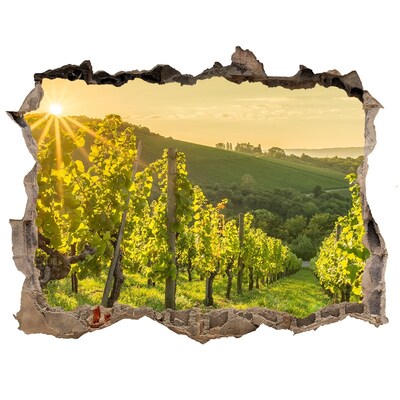 3D wall hole wallpaper Vineyards in the sun
