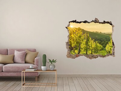 3D wall hole wallpaper Vineyards in the sun
