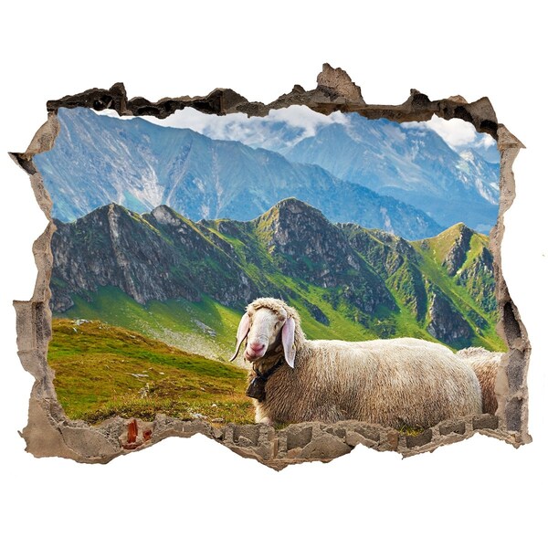 Hole in the wall decal Mountain meadow with sheep