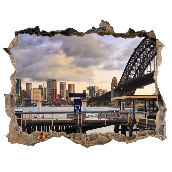 Hole wall sticker View of Sydney
