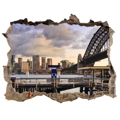 Hole wall sticker View of Sydney