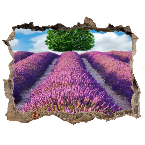 Hole in the wall sticker Lavender field behind the wall