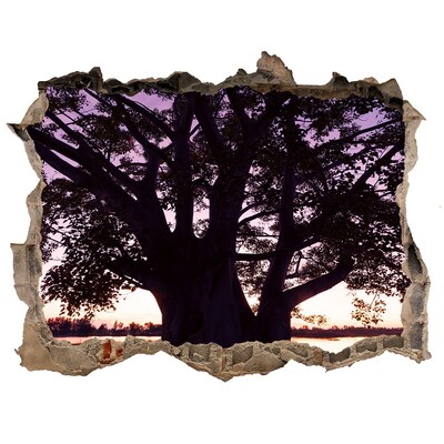 Hole wall sticker Sunset behind the tree