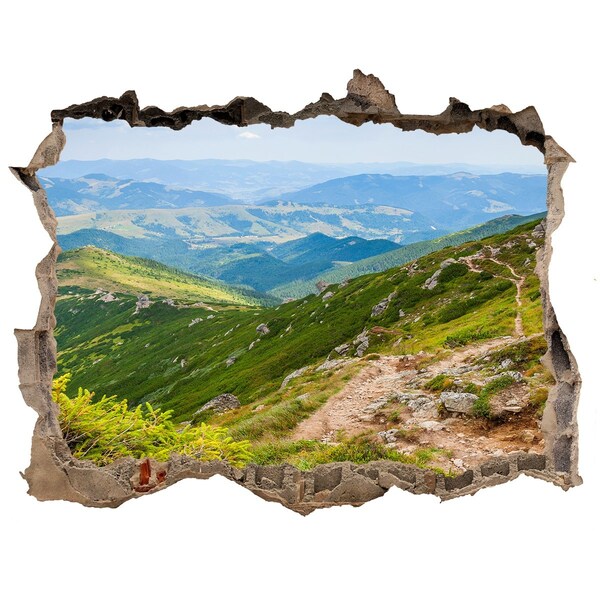 Hole wall sticker Mountain landscape with a path