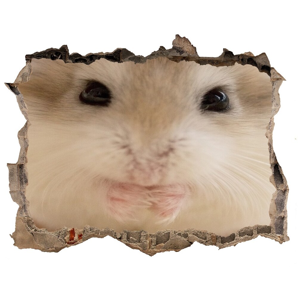 Hole in the wall decal Hamster