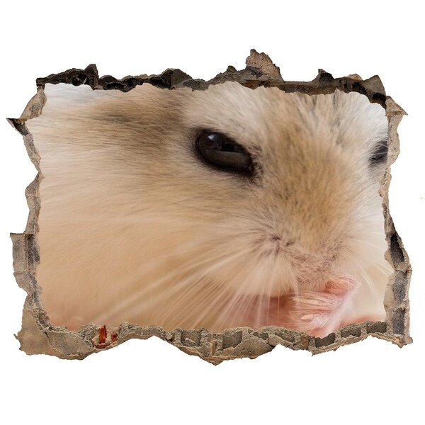 Hole in the wall sticker Hamster in a hole in the wall