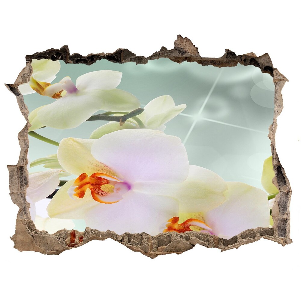 Hole in the wall decal White orchid