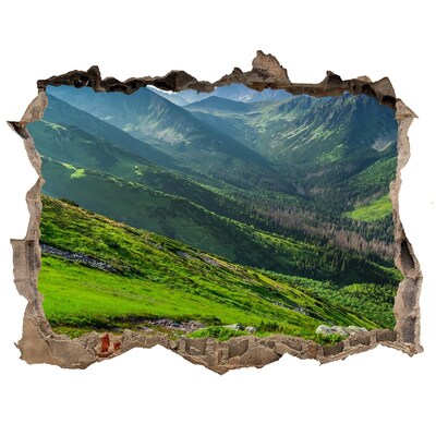 Hole in the wall decal A green valley in the mountains
