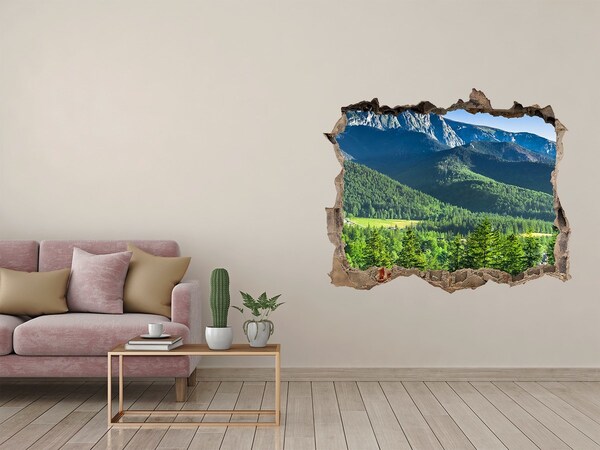 Hole in the wall decal Mountain landscape through a hole in the wall