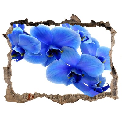 Hole in the wall sticker Blue orchid