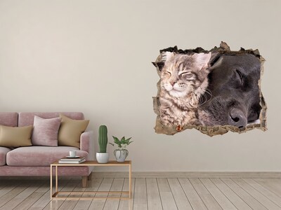 3D wall hole Dog with a cat