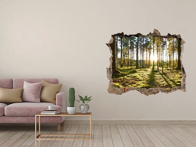 Hole wall sticker Forest glade in the morning