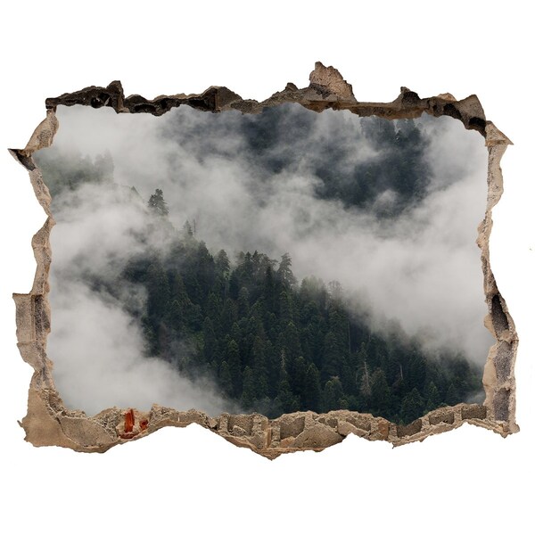 Hole wall sticker Green valley in the clouds