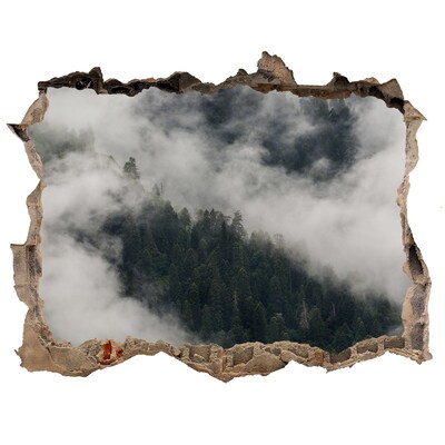 Hole wall sticker Green valley in the clouds