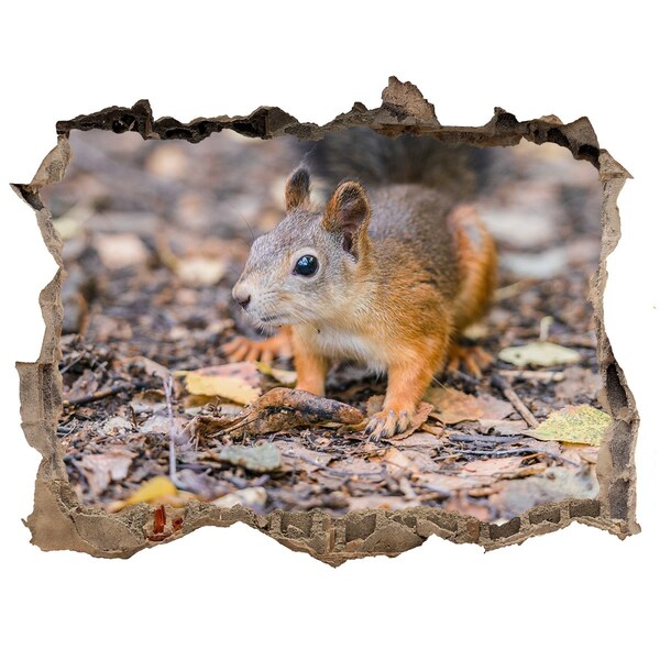 Hole wall sticker Squirrel in the forest