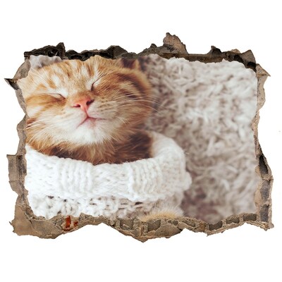 3D wall hole wallpaper Cute cat in a sweater