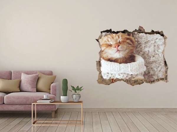 3D wall hole wallpaper Cute cat in a sweater